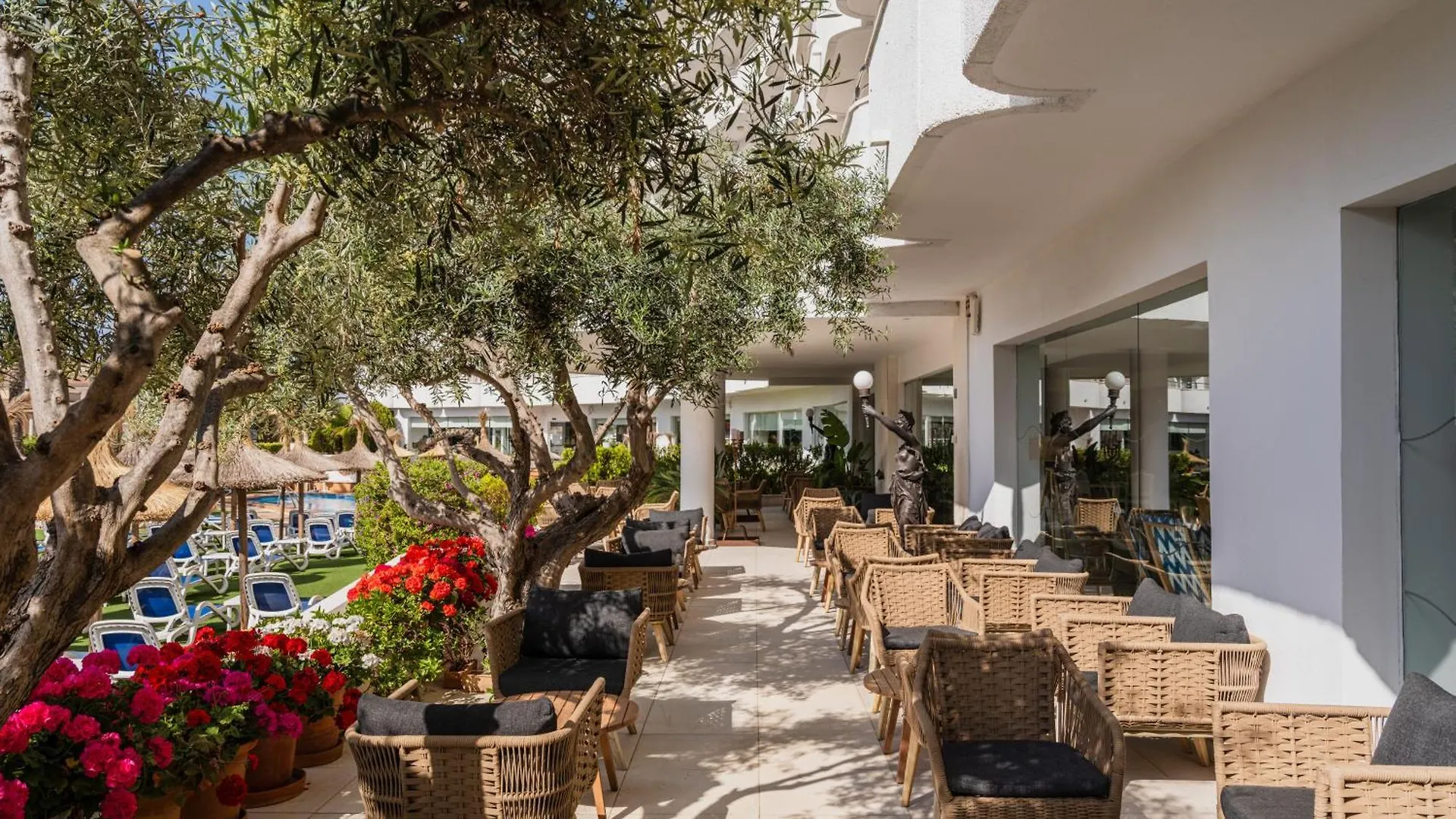 Grupotel Maritimo Port d'Alcúdia Hotel